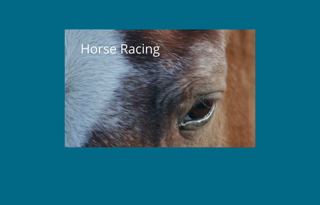 Horse eye looking at you