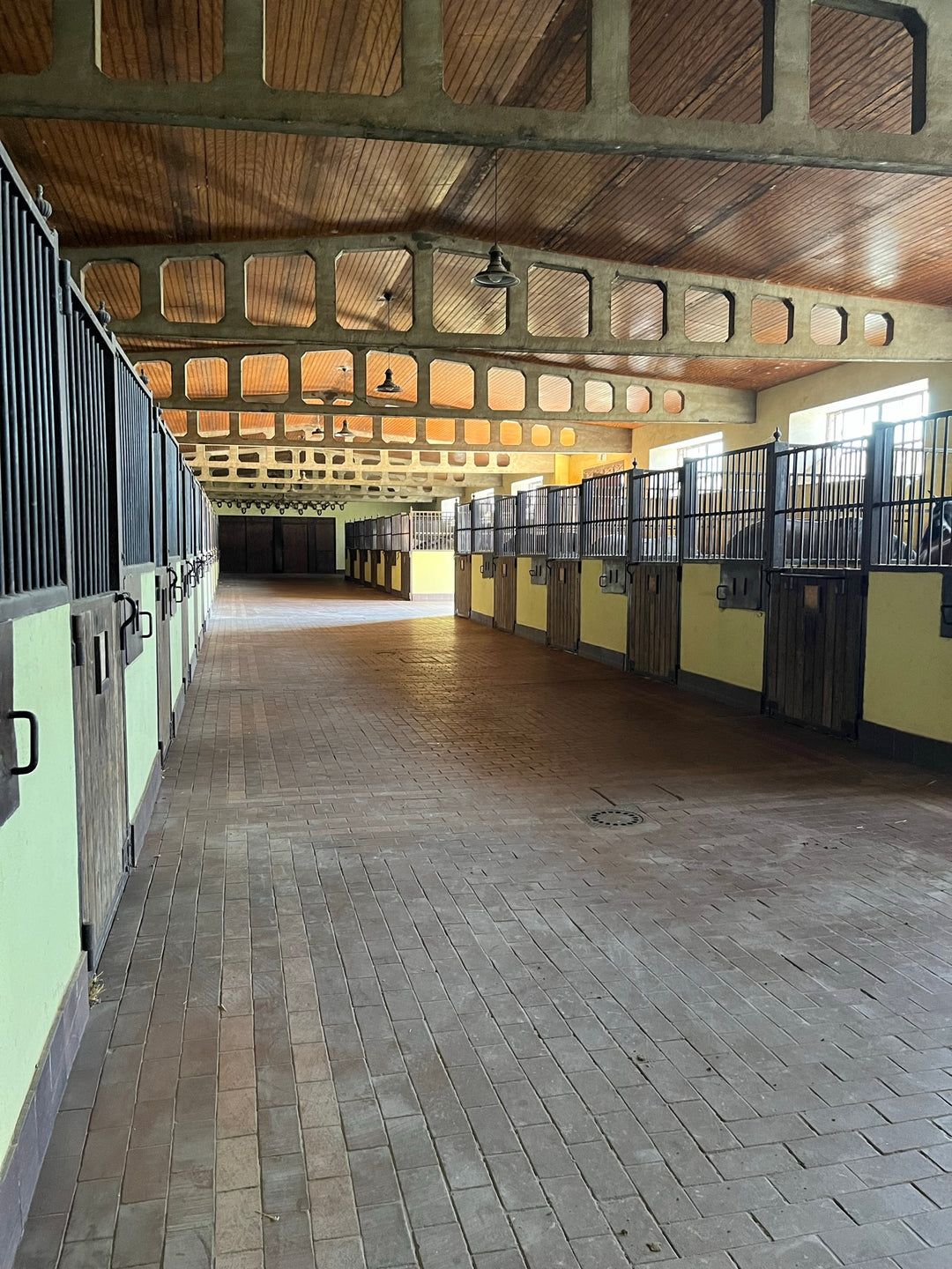 Horse Buying | Barn aisle in Spain